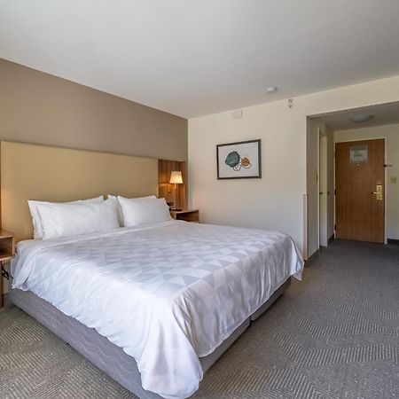 Holiday Inn San Jose La Sabana By Ihg Ngoại thất bức ảnh